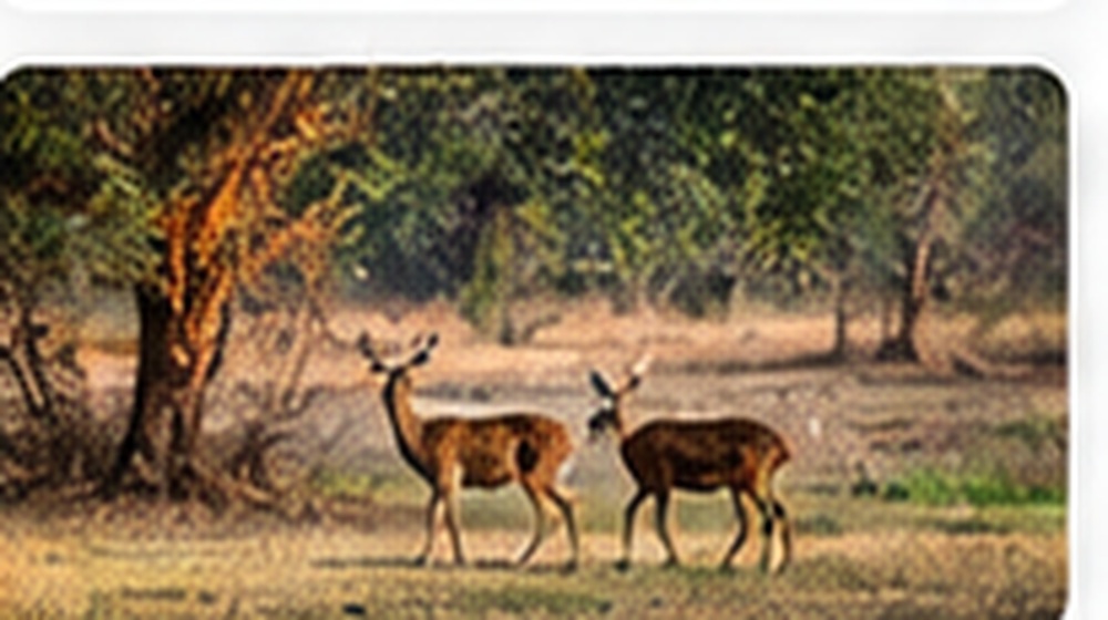 Delhi to Etawah Cab